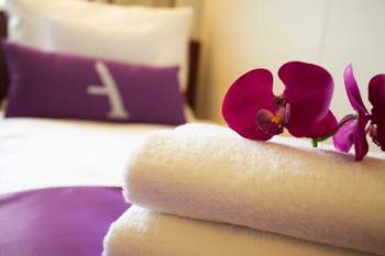 Balcony Single Cabin 